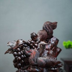 Nho sóc gỗ trắc