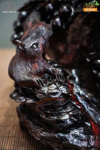 Nho sóc gỗ trắc