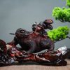 Thiềm thừ gỗ trắc