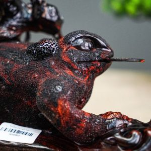 Thiềm thừ gỗ trắc Thiềm thừ gỗ trắc