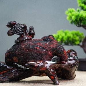 Thiềm thừ gỗ trắc Thiềm thừ gỗ trắc