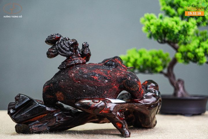 Thiềm thừ gỗ trắc Thiềm thừ gỗ trắc
