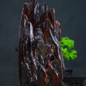Nhất tâm bái phật đạt ma