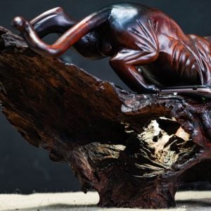 Báo săn mồi gỗ trắc Báo săn mồi gỗ trắc