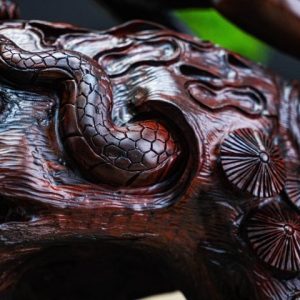 Báo săn mồi gỗ trắc Báo săn mồi gỗ trắc