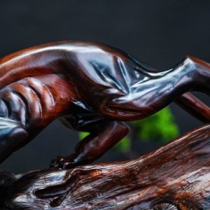 Báo săn mồi gỗ trắc Báo săn mồi gỗ trắc