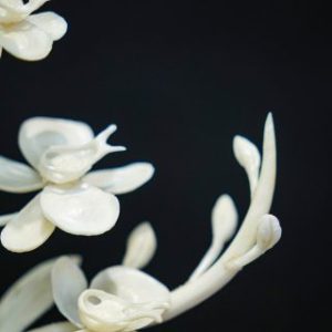 Bình hoa gỗ mini Bình hoa gỗ mini