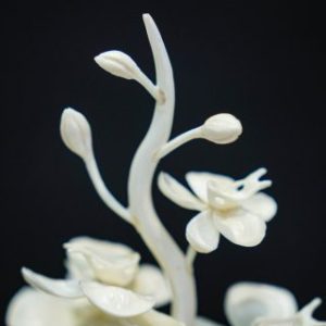 Bình hoa gỗ mini Bình hoa gỗ mini
