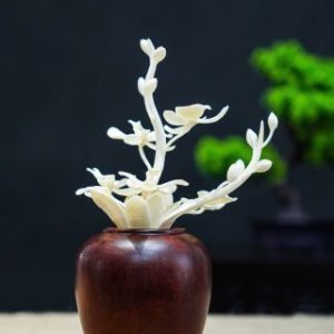 Bình hoa mini Bình hoa mini