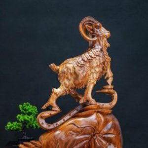 Nhất dương đứng bao tiền ngọc am Nhất dương đứng bao tiền ngọc am
