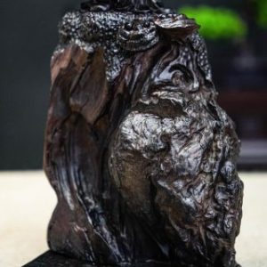 đạt ma khất thực gỗ trắc đạt ma khất thực gỗ trắc