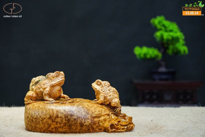 thiềm thừ nu ngọc am thiềm thừ nu ngọc am