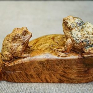 thiềm thừ nu ngọc am thiềm thừ nu ngọc am