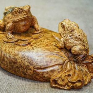 thiềm thừ nu ngọc am thiềm thừ nu ngọc am