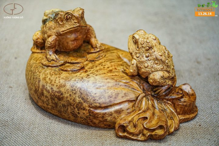 thiềm thừ nu ngọc am thiềm thừ nu ngọc am