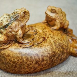 thiềm thừ nu ngọc am thiềm thừ nu ngọc am