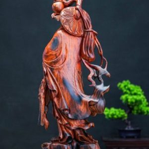 đạt ma khất thực