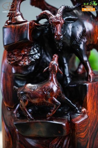 Tam dương gỗ trắc Tam dương gỗ trắc