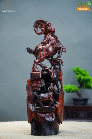 Tam dương gỗ trắc