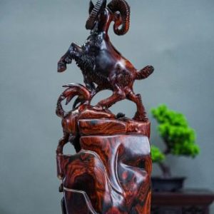 Tam dương gỗ trắc Tam dương gỗ trắc
