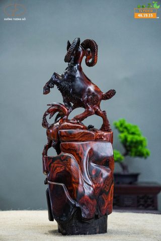 Tam dương gỗ trắc Tam dương gỗ trắc