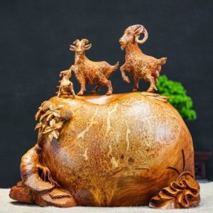 Tam dương nu hương Tam dương nu hương