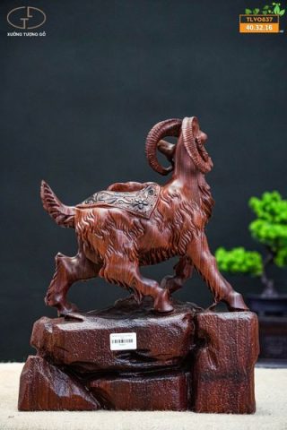 Nhất dương vạn sự như ý ( trái )