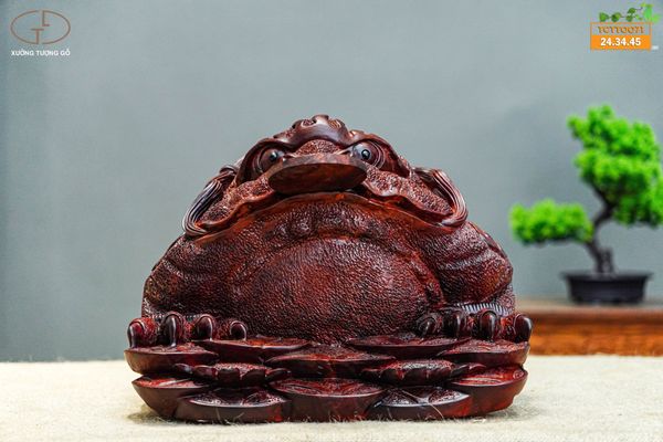 Cóc gỗ tử đàn