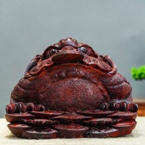 Cóc gỗ tử đàn