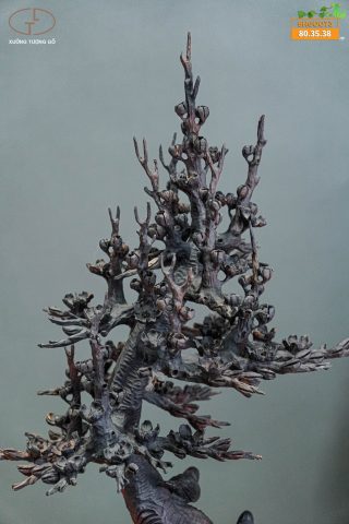 Bình hoa mai gỗ trắc Bình hoa mai gỗ trắc