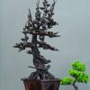 Bình hoa mai gỗ trắc Bình hoa mai gỗ trắc