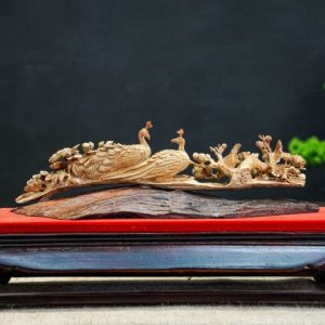 cầu chim hoàng đàn cầu chim hoàng đàn