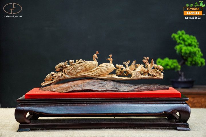 cầu chim hoàng đàn cầu chim hoàng đàn