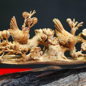 cầu chim hoàng đàn cầu chim hoàng đàn