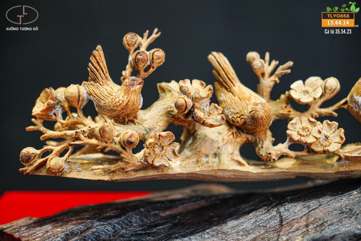 cầu chim hoàng đàn cầu chim hoàng đàn