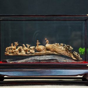 cầu chim hoàng đàn cầu chim hoàng đàn