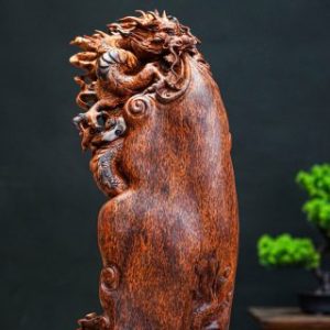 nhất long Nu cẩm nhất long Nu cẩm