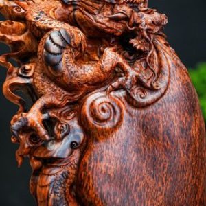 nhất long Nu cẩm nhất long Nu cẩm