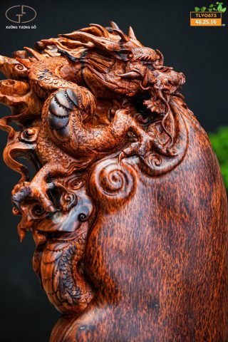 nhất long Nu cẩm nhất long Nu cẩm