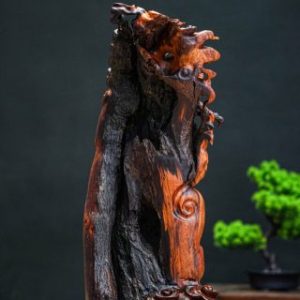 nhất long Nu cẩm nhất long Nu cẩm