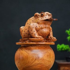 Thiềm thừ gỗ hương Thiềm thừ gỗ hương