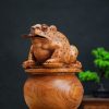 Thiềm thừ gỗ hương Thiềm thừ gỗ hương