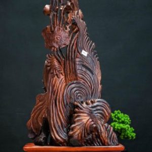 Cá chép gỗ cẩm Cá chép gỗ cẩm