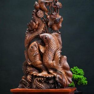 Cá chép gỗ cẩm Cá chép gỗ cẩm