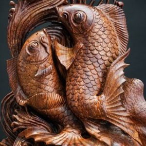 Cá chép gỗ cẩm Cá chép gỗ cẩm
