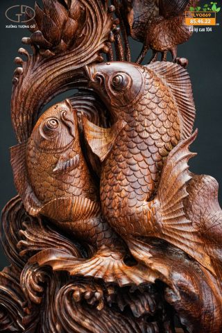 Cá chép gỗ cẩm Cá chép gỗ cẩm