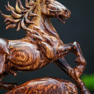 nhất mã nu cẩm nhất mã nu cẩm