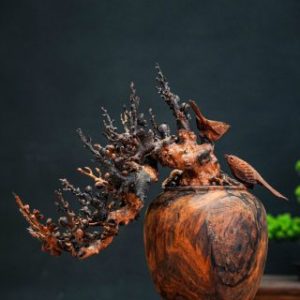 bonsai đào gỗ trắc