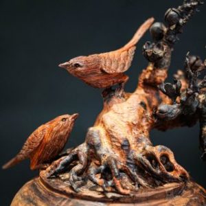 bonsai đào gỗ trắc bonsai đào gỗ trắc