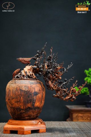 bonsai đào gỗ trắc bonsai đào gỗ trắc